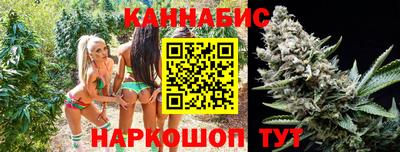 бошки Будённовск