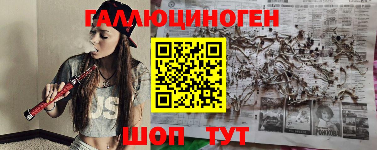 Шумерля  Галлюциногенные грибы GOLDEN TEACHER  Вход с VPN 