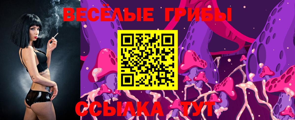 Галлюциногенные грибы Cubensis Шумерля